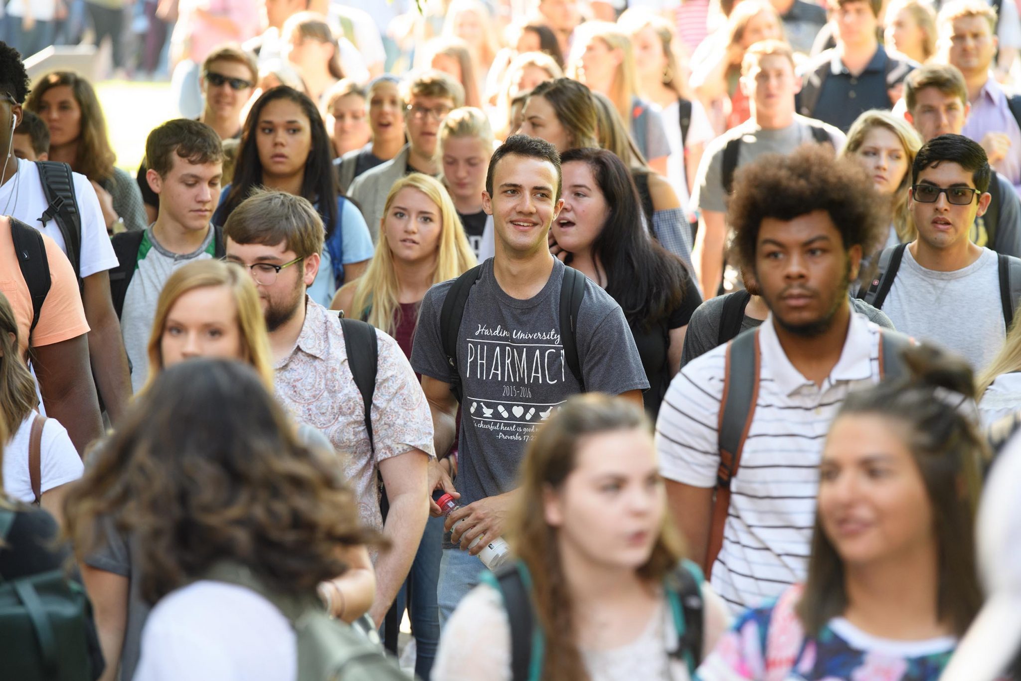 Higher Education